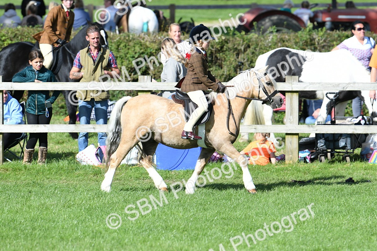 SBM_50333 - S21 - Novice & Newcomers 1st Ridden Pony