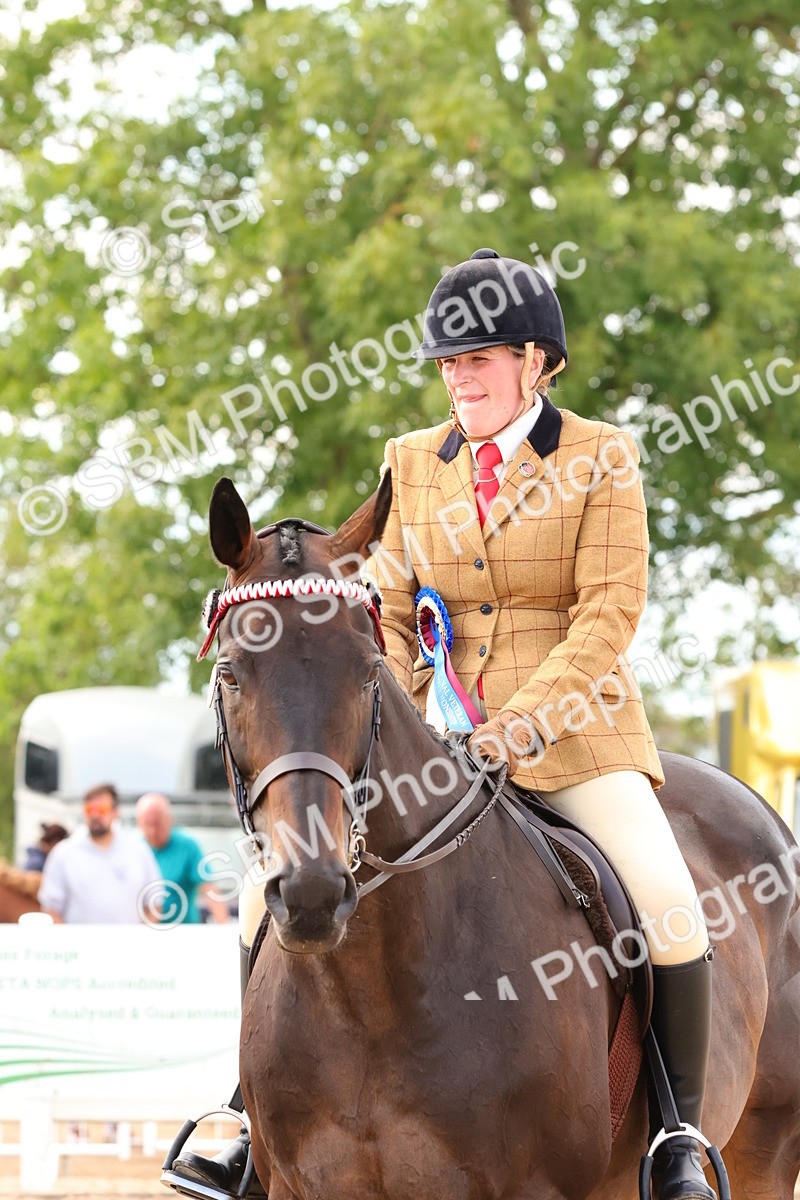 SBM_16306 - Class 217 - Ridden Retired Racehorse
