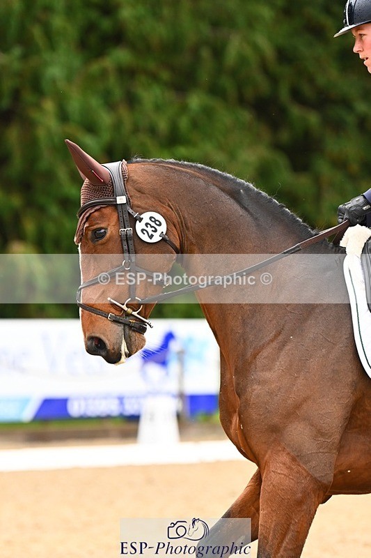 231021-114507-14813 - 238-LEXINGTON.III-Georgina.Wood-DR