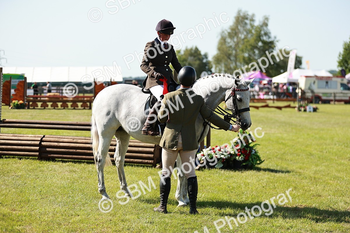 SBM_18941 - Class 114 - RIHS & SEIB Open Working Show Horse