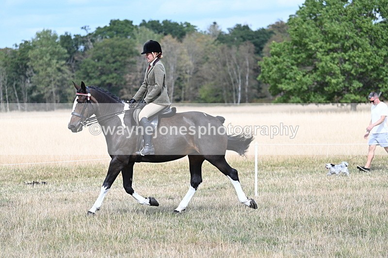 WJ7_5841 - Class 13 Ridden Veterans