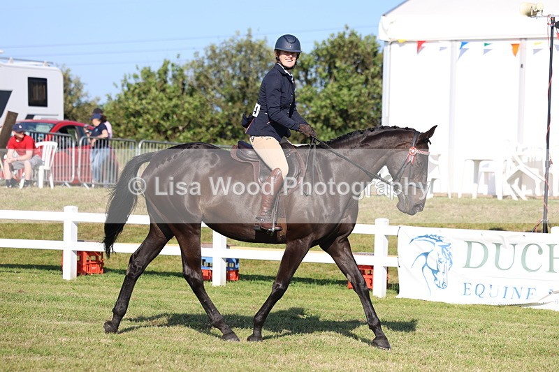 3E7A5260 - Class 2: Rising Star Large Hack/Riding Horse