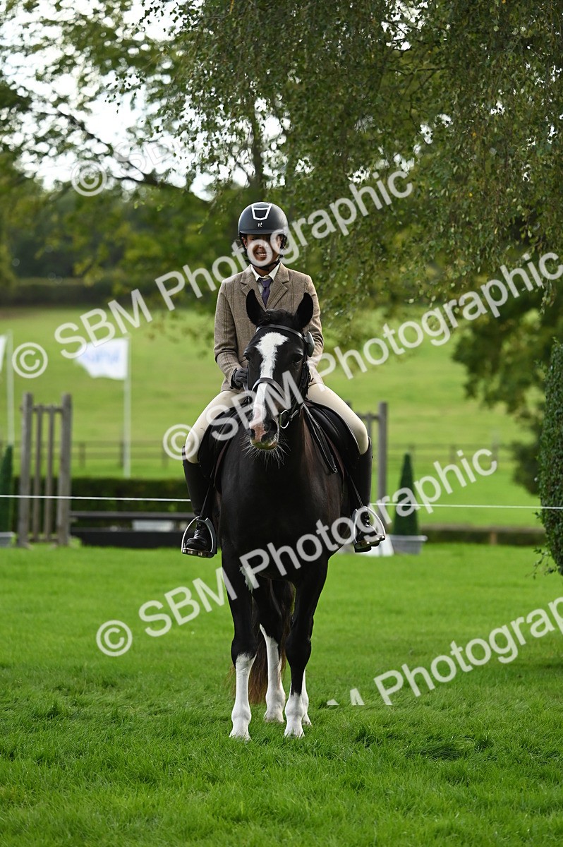 SBM_26363 - S6 - Novice & newcomer Ridden horse