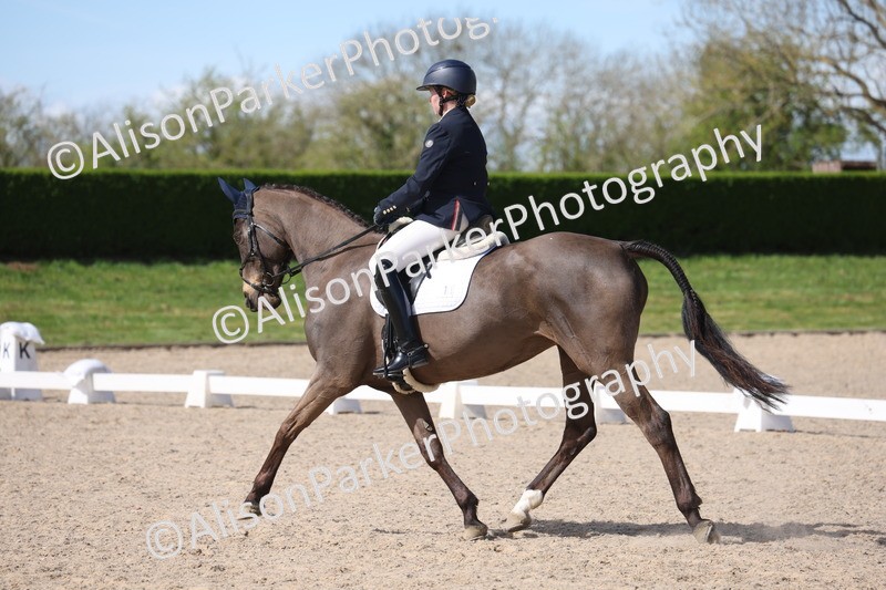 20260405-0480 - Class 5 - Elementary 5