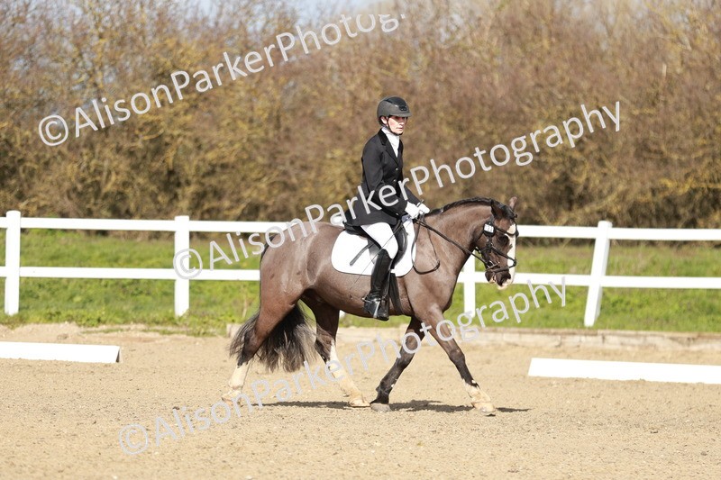 20260314-2948 - DR3 - Prelim 1