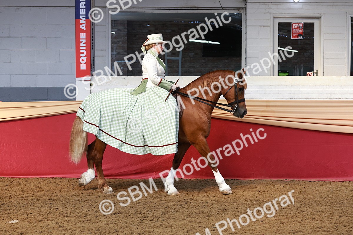 SBM_13672 - Class 106 - Ridden Costume -Astride Adult (15-19)