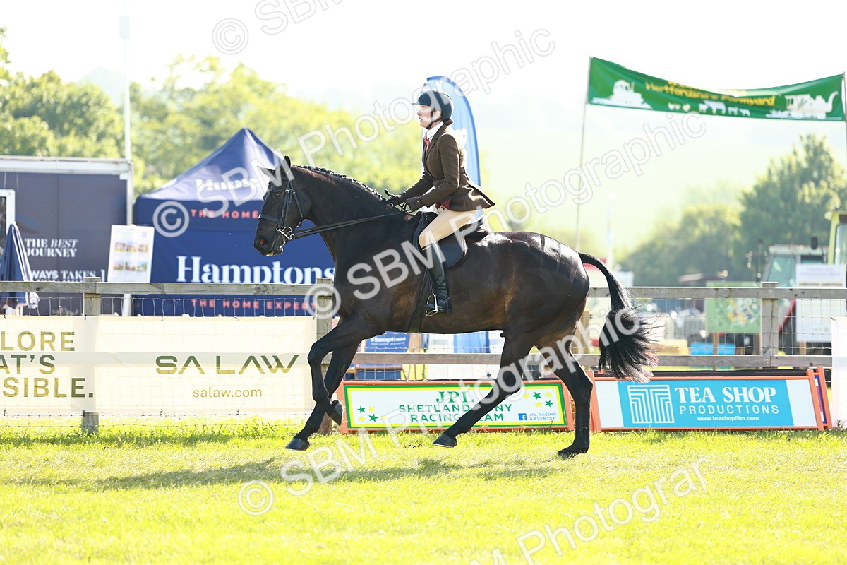 SBM_10909 - Class 66-69 - RIHS Ridden Hunters Inc Small Hunter