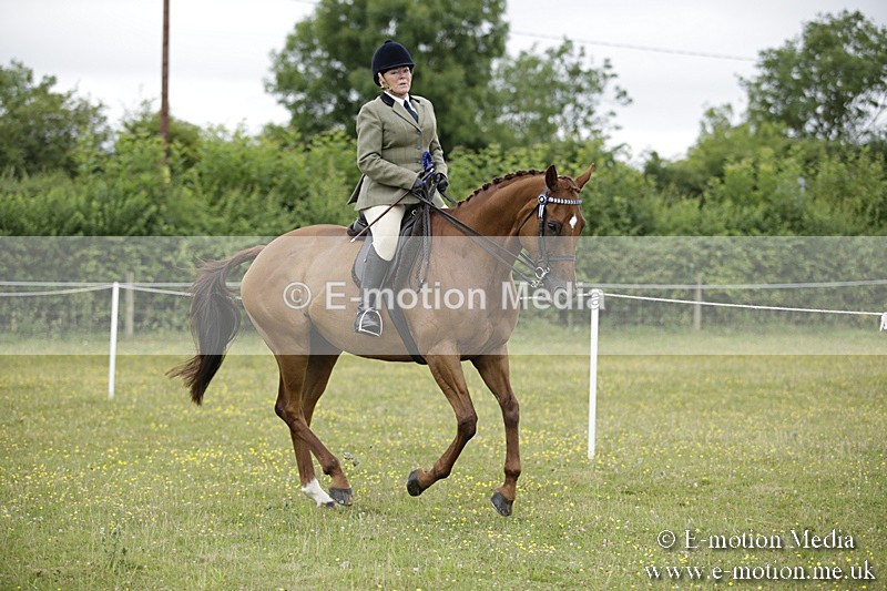 BVR160717-486 - Ring 1 BVRC Show 16/07/17