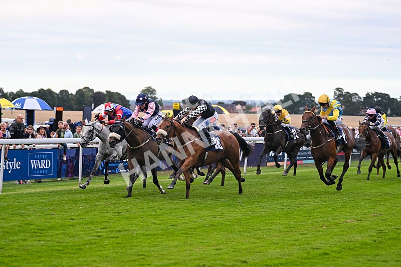 290725-Race 7-King Sharja-1266 - Race 7