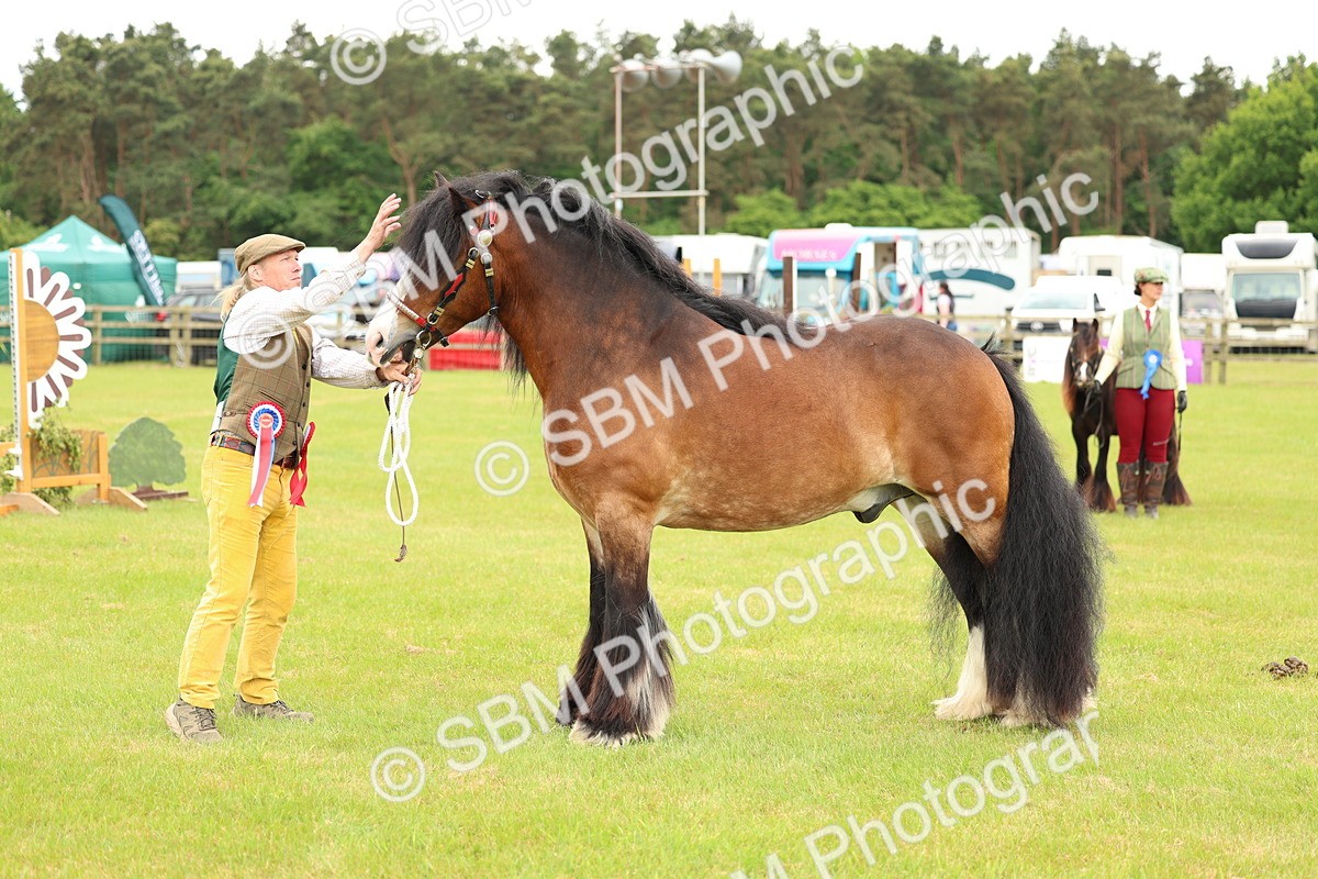 SBM_06320 - Class 39-41 TGCA In Hand and Ridden