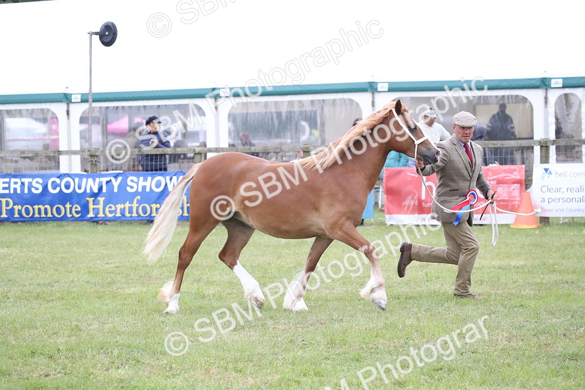 SBM_09819 - Ch 50 - Price Family Supreme In Hand