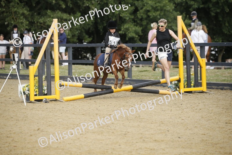 20250622-1348 - 40cm