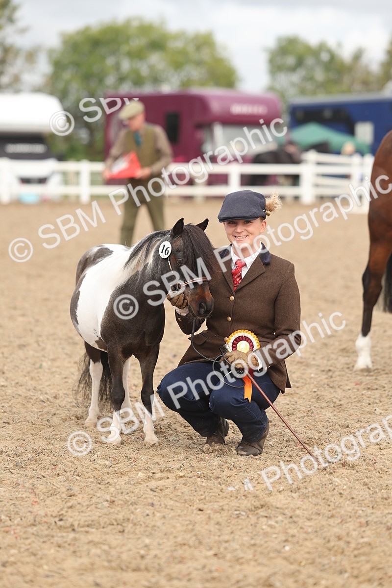 SBM_02142 - Class 15 - IH Coloured