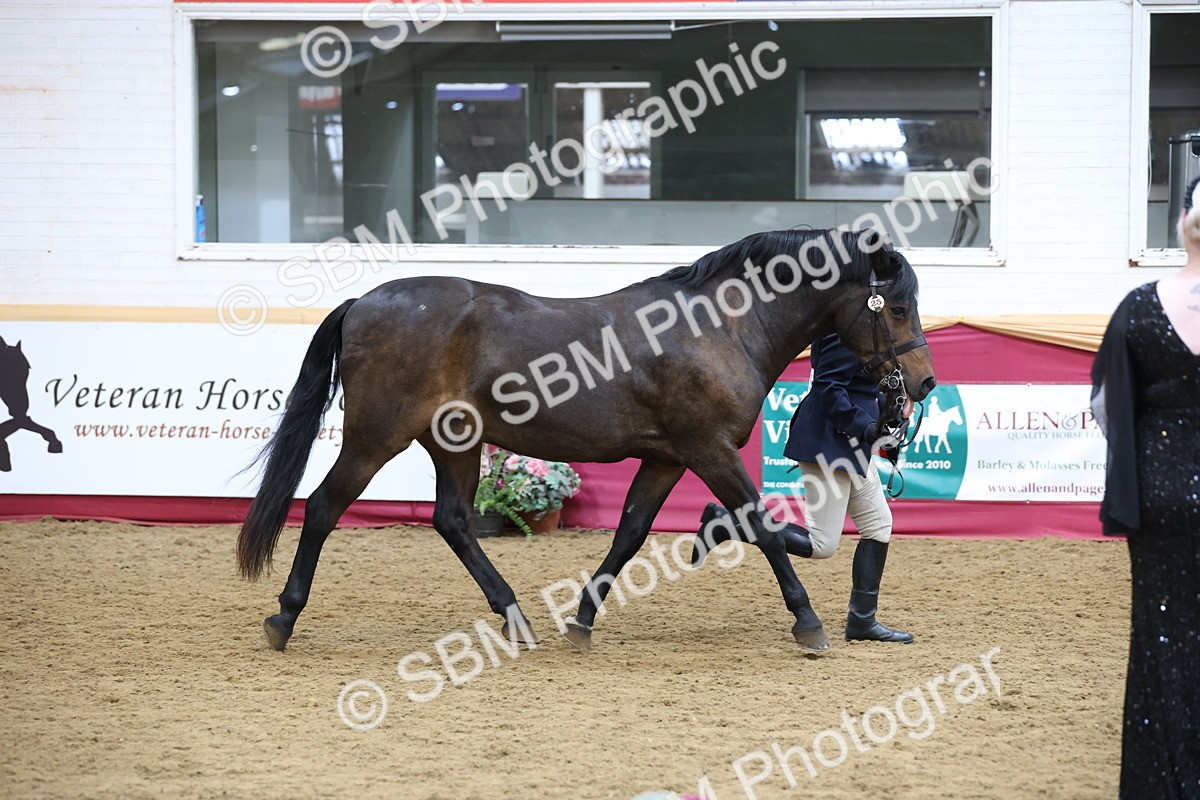 SBM_23625 - Class 904 - Supreme Final - Ridden Diamond