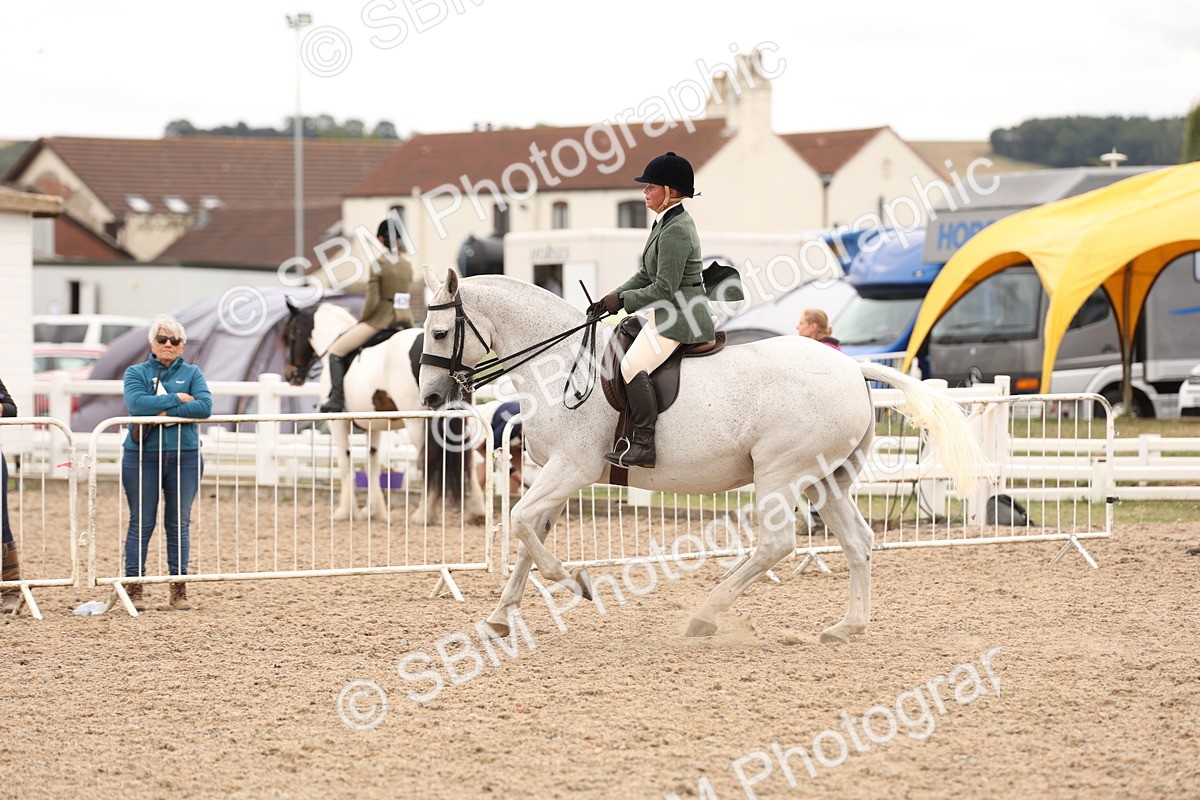 SBM_19565 - Class 215 - Ridden Show cob