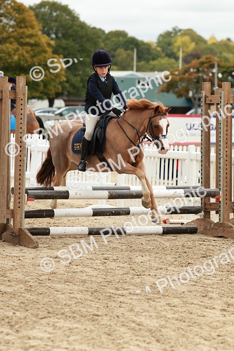 SBM_67153 - J13 - Junior Pony 60cm Championship