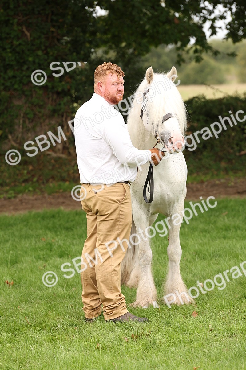 SBM_59350 - S57 - Traditional Cob In Hand