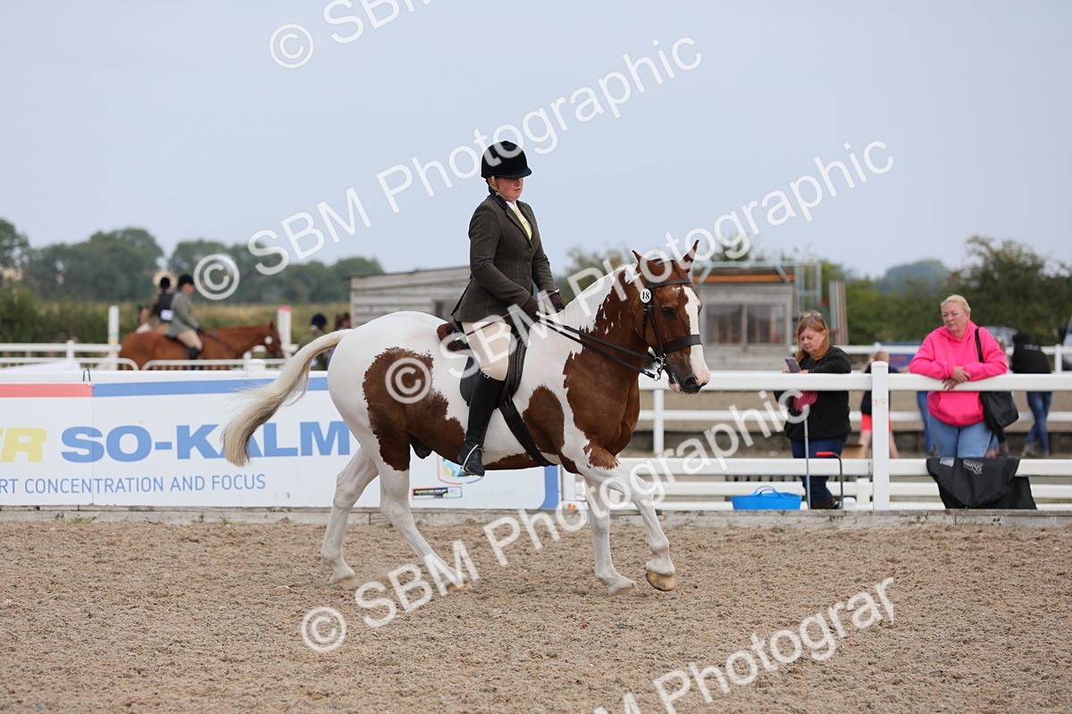 SBM_13396 - Class 308 Ridden Coloured Horse