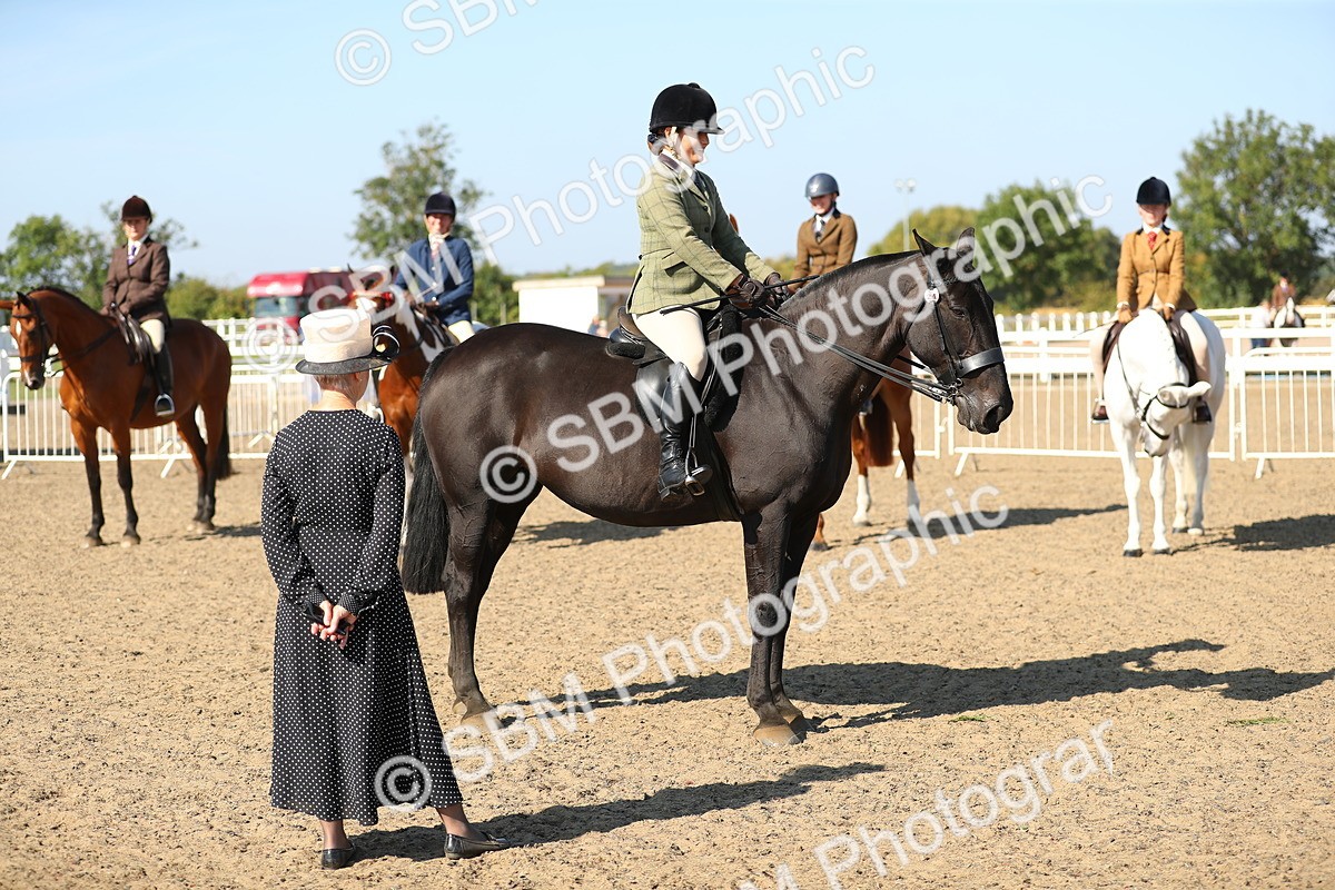 SBM_02252 - Class 43 Ridden Competition Horse/Pony