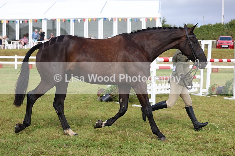 3E7A9008 - Class 3: Rising Star S/L Hunter