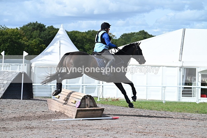 WJ7_1880 - Time 13:17 to 13:53