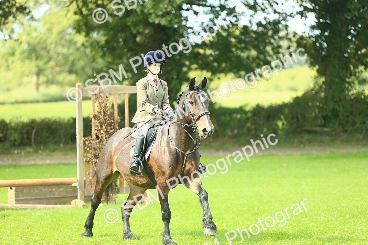 SBM_42044 - S29 - Novice & Newcomers Working Hunter Pony