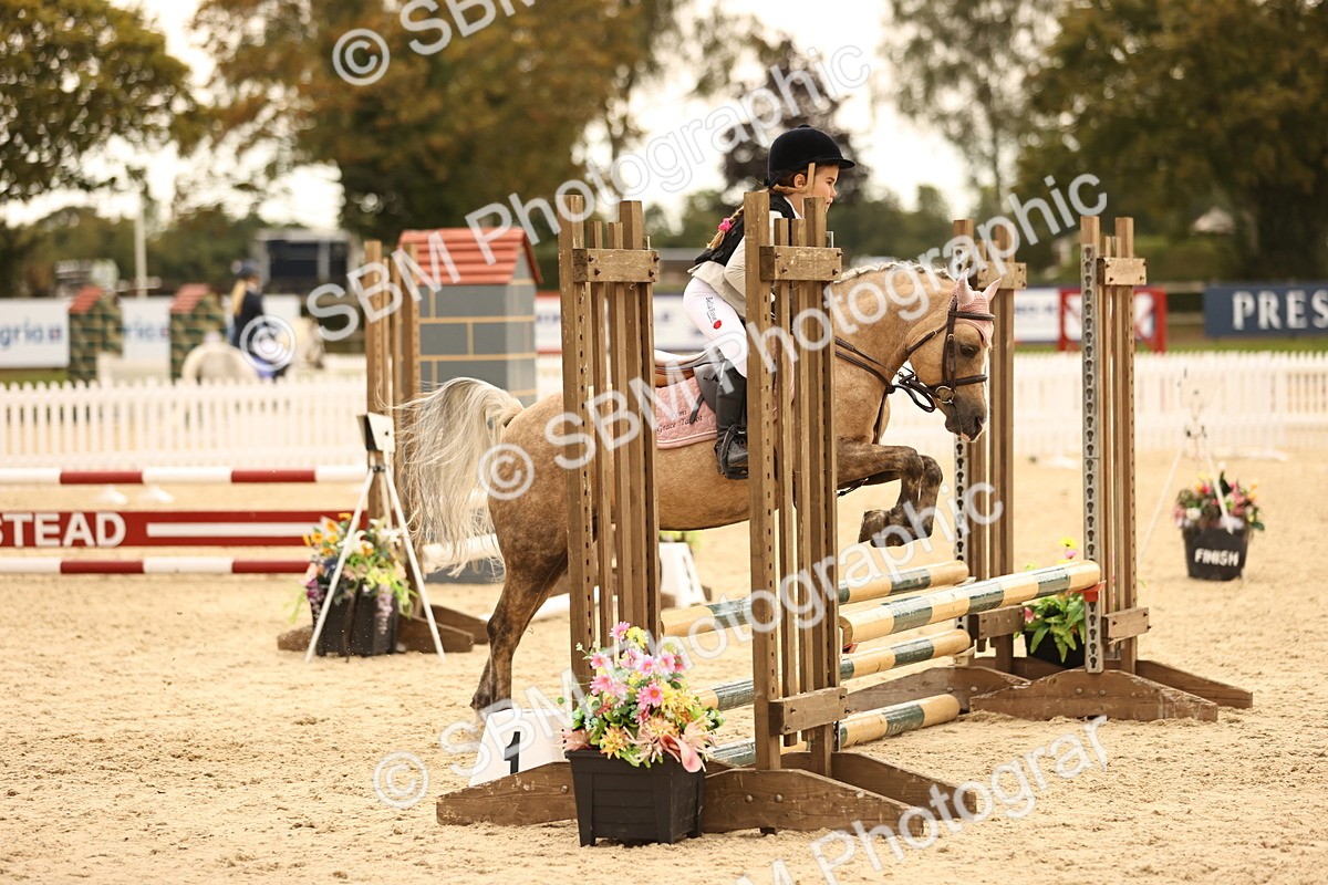 SBM_72691 - J14 - Junior Pony 65cm Championship