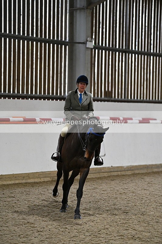 WJ7_4283 - Class 17 Ridden Cob