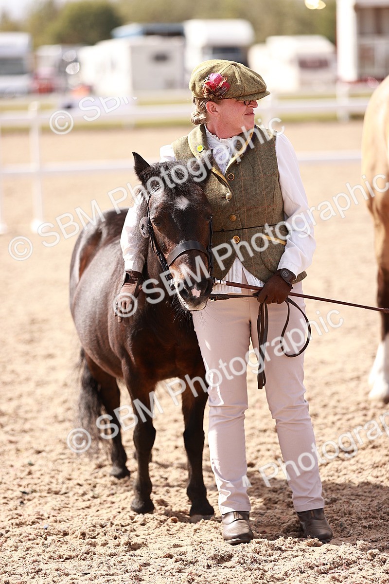 SBM_23010 - Class 707 - IH groom Helpers Class