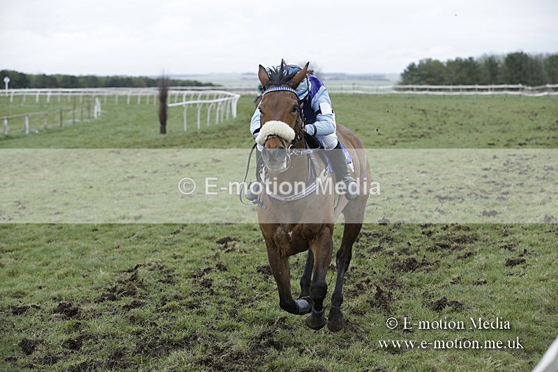 PtP 150320 0911 - New Forest Point-to-Point Larkhill 15/03/20