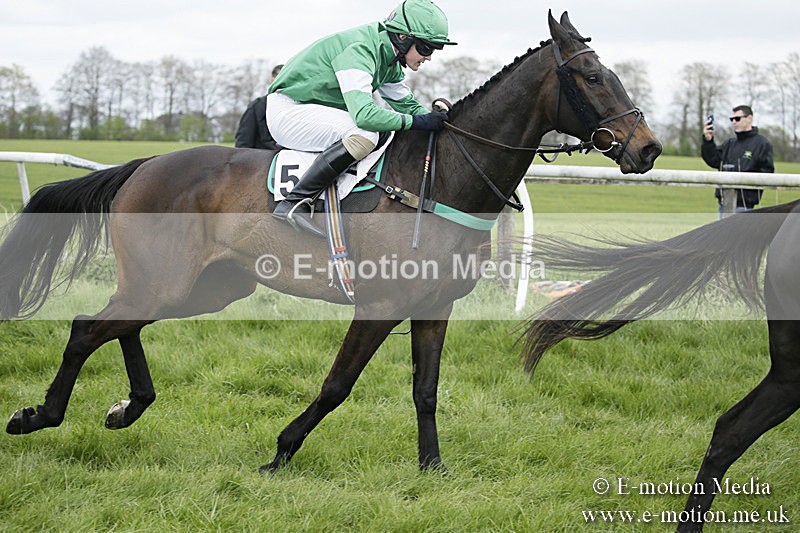 PtP 170417 19 - Old Berks Point-to-Point Lockinge 17/04/17