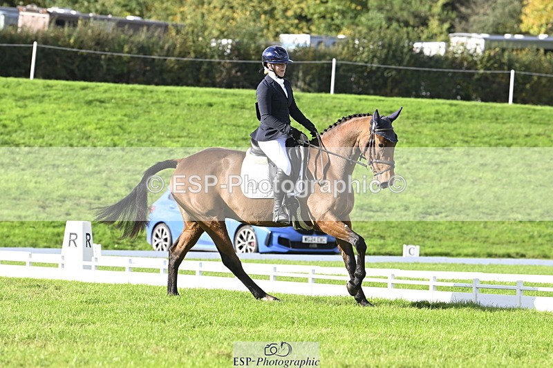 251023A-151012-04533 - E-386-Zara.Head