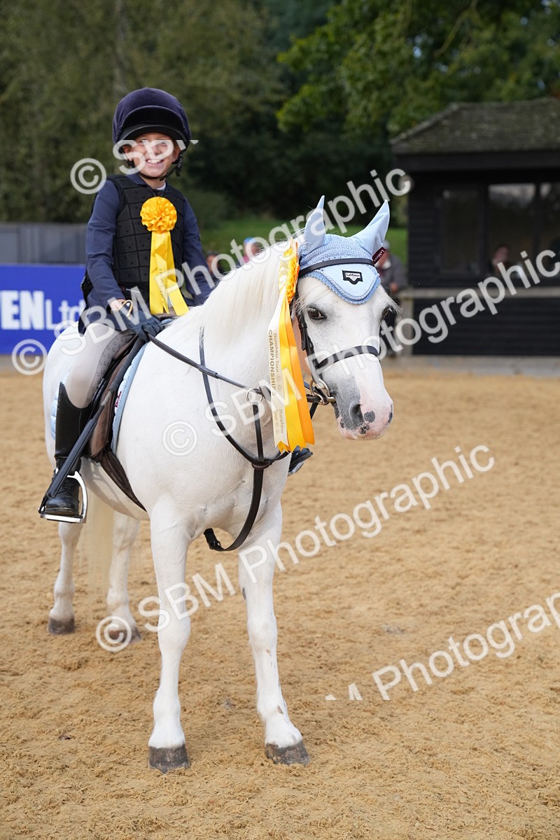 SBM_74938 - J4 - Mini Tour Junior Pony 45cm Championship