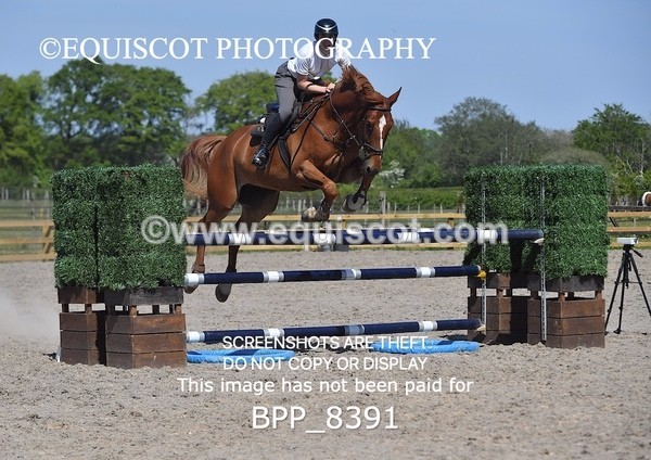 BPP_8391 - CLASS 6 Senior Newcomers/ 1.10m Open