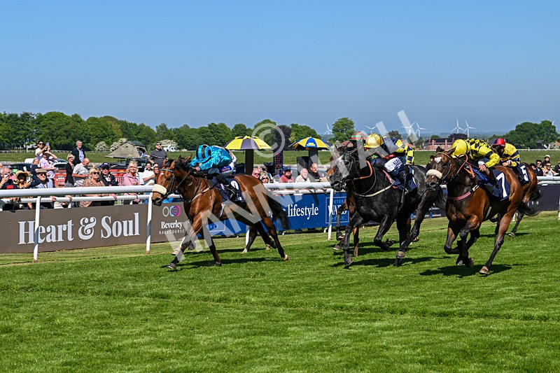 130525-Race 3-Ingleby Archie-9818 - Race 3