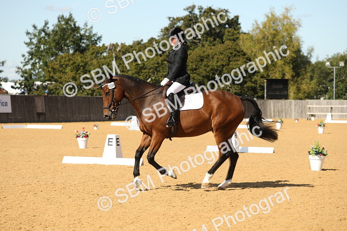 SBM_24463 - D17 - Grand Tour Championship - Novice 27
