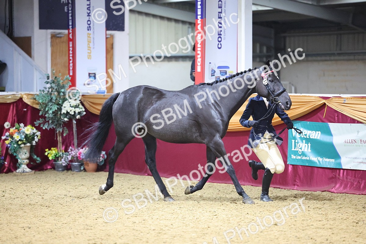 SBM_21018 - Class 902 - Supreme Final IH Veteran