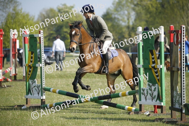 20250427-0234 - Class 12 - Rookie Jumping 40cm