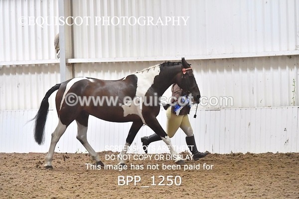BPP_1250 - RING 2