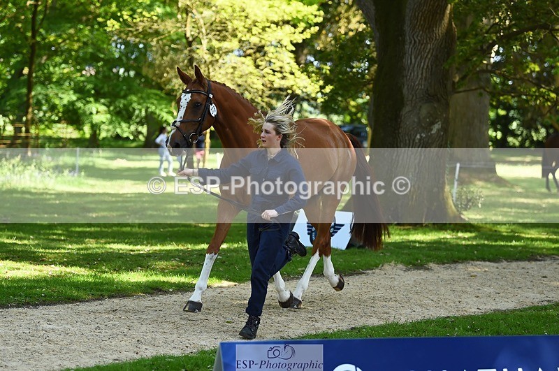 230524-154938-00526 - 378-CLASS_SPEC-Susie_Eddis-WEDTrotUp+DR