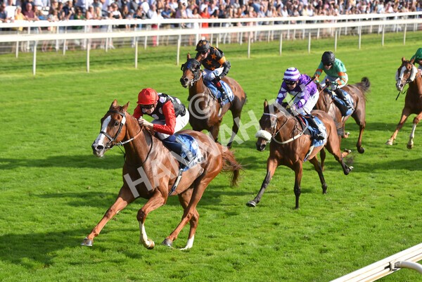 yr05092021r5-41 - Race 5 4.20pm Little Green Rascals Children's Nurseries Stakes