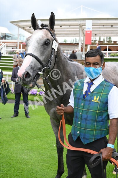 yr11062021r1-46 - Race 1 1.45pm eventmasters.co.uk British EBF Novice Stakes