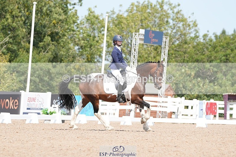 250817-122605-09321 - 050-Mollie.SheathTouch.Wood