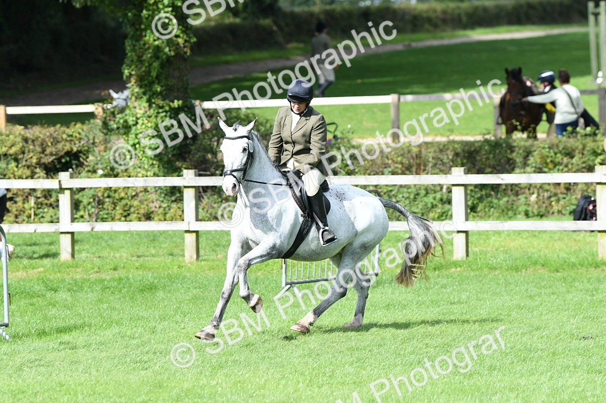 SBM_46894 - S12 - Family Horse & Pony