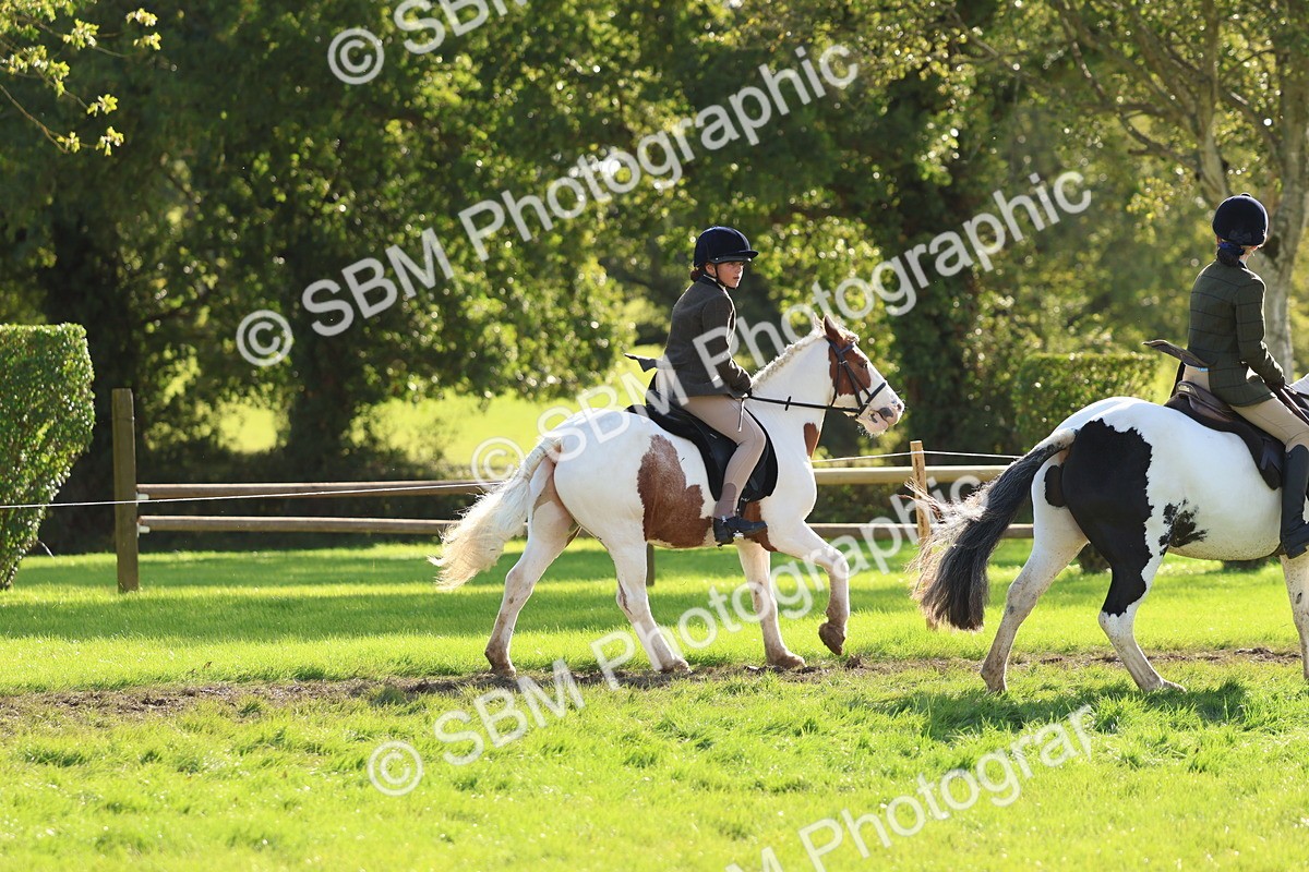SBM_52407 - S13 - Pony Club Pony