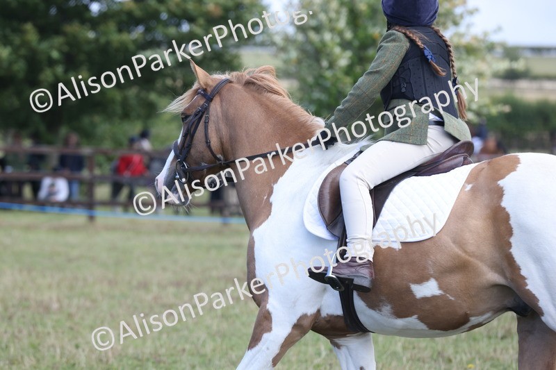 20250831-2451 - Class 16 - Family Pony