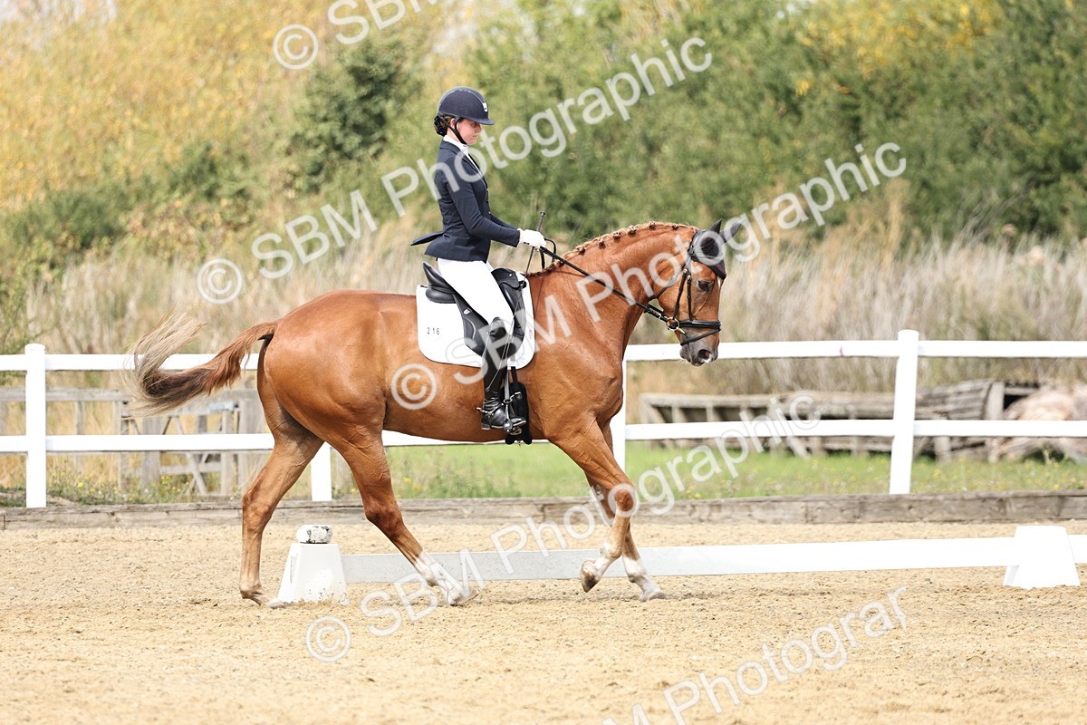 SBM_018352 - Class 16 - Novice 5 - 11.12-12.01