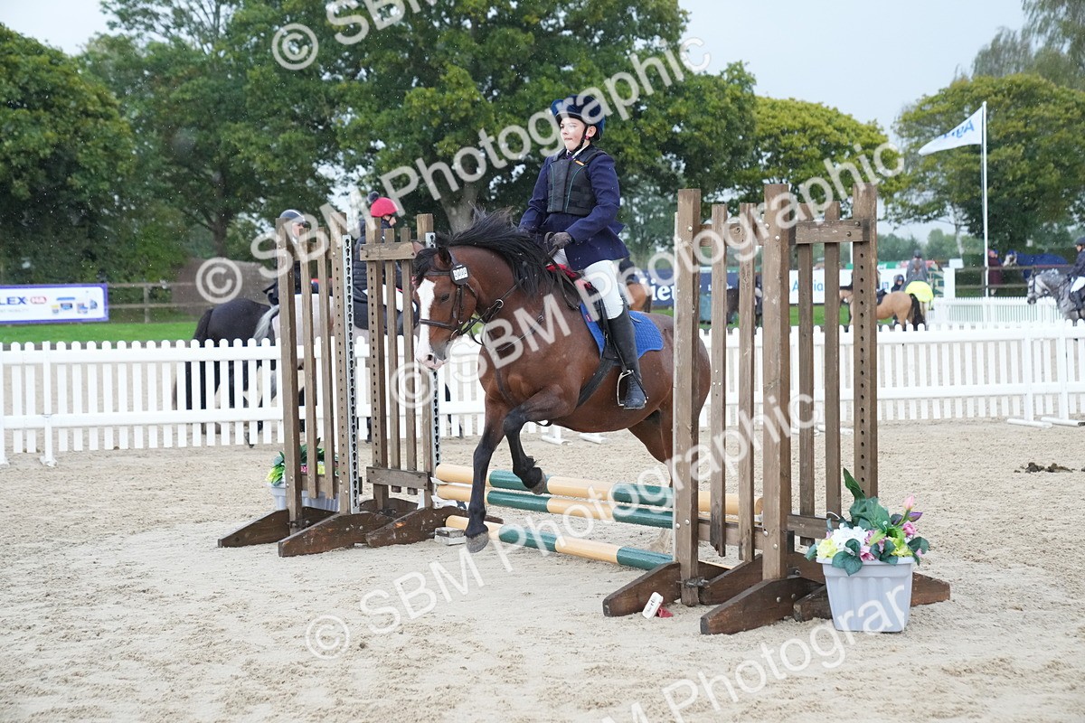 SBM_00177 - J53 - Clear Round 40cm