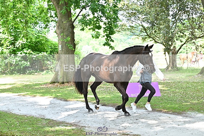 250521A-152200-00453 - B-379-Kelli.Frewin-HIDDEN.GOLD