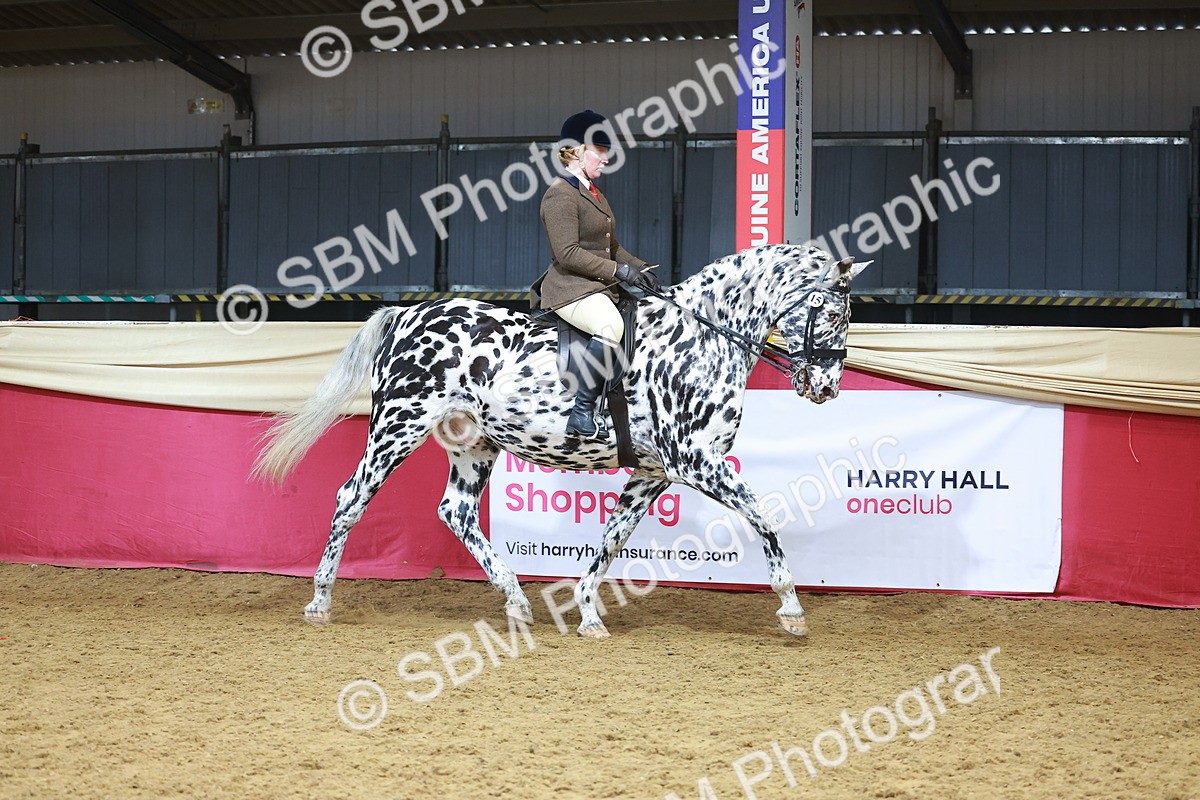SBM_12464 - Class 103 - HOYS Veteran Qualifier - Ridden Pre Vet